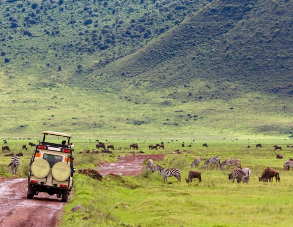 3 DAYS MURCHISION FALLS NATIONAL PARK